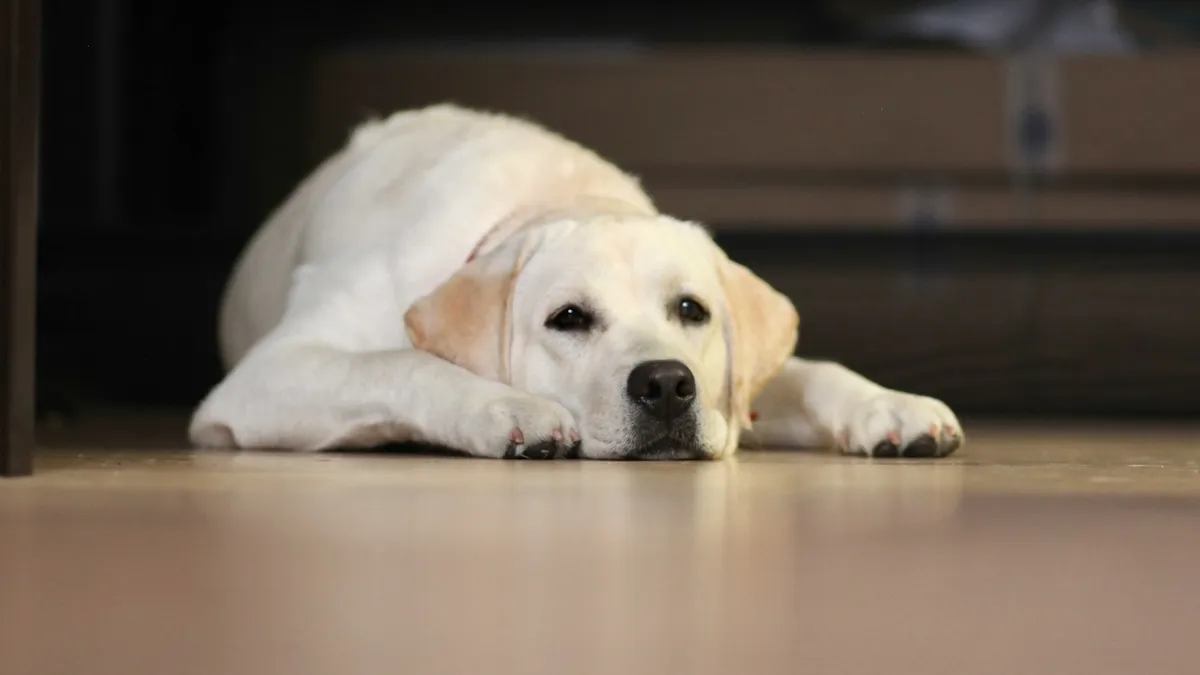 How to Receive Booking System Data in Real Time